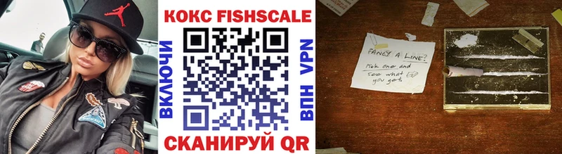 дарнет шоп  Славск  КОКАИН Fish Scale 