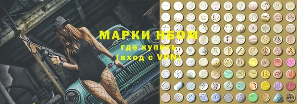 шишки Чердынь